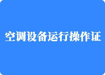 我要日死你这个贱货制冷工证