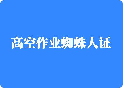 日本肥胖老女人黄色视频高空作业蜘蛛人证